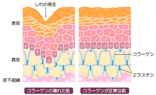img_know01b.png